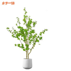 2000~OFFN[| tFCNO[ t lHϗtA lHϗt ^ Vv  CeA rO  CeA A JX Vz zj v[g 