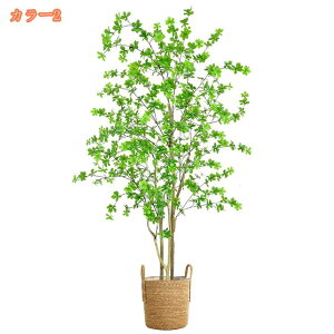 1000~OFFN[| tFCNO[ ϗtA 傫 lHϗtA CeA  ItBX   tFCNO[ O[ CeA lH tFCN lHϗtA ͂Ȃ t