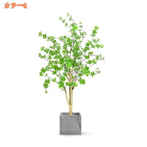 1000~OFFN[| tFCNO[ ϗtA 傫 lHϗtA CeA  ItBX   tFCNO[ O[ CeA lH tFCN lHϗtA ͂Ȃ t