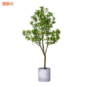 1000~OFFN[| A lHA ϗtA  tFCNO[ ^ CeA tFCNO[ X u fR[V 뉀 ItBX ȒP j v[g Mtg 