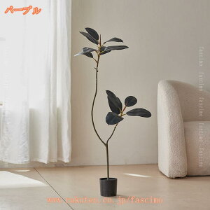 1000~OFFN[| lHϗtA tFCNO[ ^ lHϗt tFCNϗtA Vv t  b炸 sv ItBX  CeA z[ fR[V 