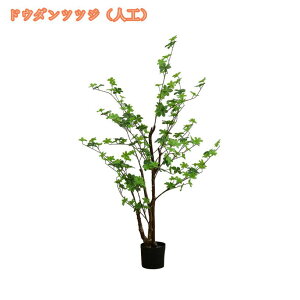 1000~OFFN[| lHϗtA lHA tFCNO[ 傫 CeAO[ bJ ϗt A[gO[ JXj e@ p sv zj Vzj rO 