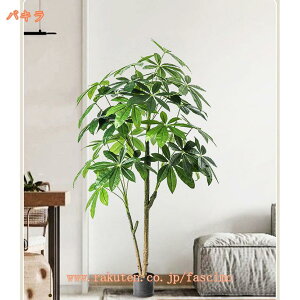 1000~OFFN[| lHA lHϗtA CeA ϗtA lHA C~e[VO[ ^  lHA tFCNO[ lHϗtA 傫 ItBX  Z ItBX 