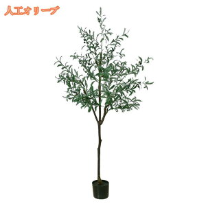 lHϗtA tFCNO[ A tFCNϗtA lHϗtA tFCNO[  IV ZX̂ Pb炸 sv 킢 Ύ CeA t ܂