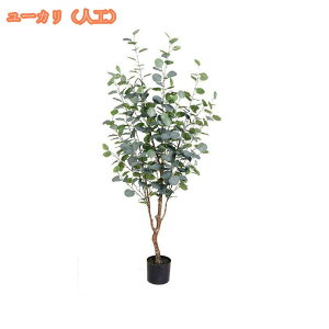 1000~OFFN[| lHϗA ϗtA tFCN I[u tFCN O[ ϗtA lHA j 蕨 ^ t CeA Ύ i` ϗtA tFCN lHϗtA