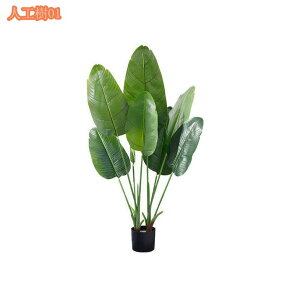 lHA lHϗtA CeAO[ ϗtA lHA ^ tFCNO[ lHϗtA 傫 ItBX  Z ItBX Xܗp Ɩp P A zj Vz