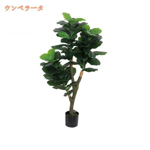 1000~OFFN[| lHϗtA lHA tFCNO[ 傫 ^ CeAO[ ϗt A[gO[ rO JXj e@ p sv zj Vzj l