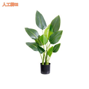 2000~OFFN[| lHA tFCNO[ A ^ lHϗtA CeA   lHϗt ϗtA zj Vzj { ~ CeA A  