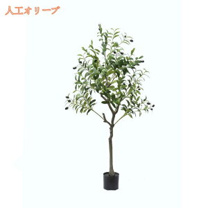 tFCNO[ ϗtA lHϗtA ^ 傫  CeA A  j lH    rO ItBX  Vv lHϗt ϗtA ͂Ȃ {