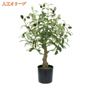 lHA lHϗtA tFCNO[ ϗtA tFCN ͂Ȃ rO 傫 lHA ^  CeA O[ ItBX JXj ȒP sv Q̐S