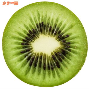 500~OFFN[| ѕz VO uPbg ѕz }CNt@Co[  tl g y 唻  킢  y |ѕz G  V k ~ 􂦂 