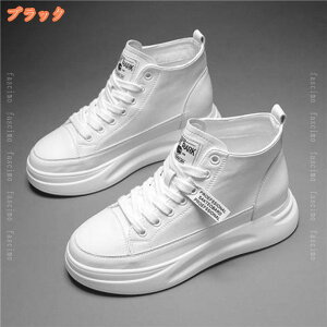 1000~OFFN[| fB[X Xm[u[c h ۉ [XAbv [gu[c V[gu[c Xj[J[  {A u[c nCJbg wC EB^[u[c ȌC C 