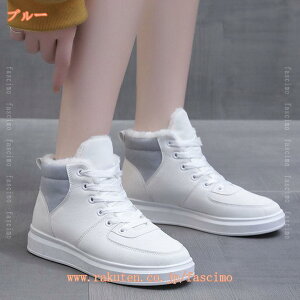 500~OFFN[| Xm[u[c fB[X u[c h ~C ȌC C ~ EB^[u[c V[g Xj[J[ [Nu[c AEghAV[Y EH[LOV[Y JWAV[