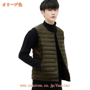 777~OFFN[| _ExXgY _E tFU[ JWA Ci[ X|[c St StEFA h h g y ۉ 傫TCY  xXg ~ gbvX 