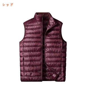 St _ExXg Y StEFA _E WPbg iC ~Mۉ H AE^[ u] y X^hJ[ WbvAbv n X|[c h H~  fascimo