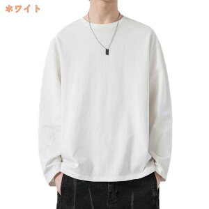 500~OFFN[| TVc Y ێ ďH JWA gbvX 傫 TCY  傫 TCY n TVc  n y _炩 VGbg  t@bV N[lb