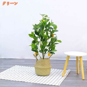 AȐlHϗtA tFCNO[ ̖  A { lHϗt Aȗt  CeAO[ i̖ Vv ͂ȂA rO ItB