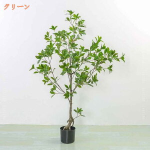 tFCNO[ A lHϗtA hE_ccW ^    O tFCNA sv ͂Ȃ Q̐SzȂ A   傫   Ύ  It