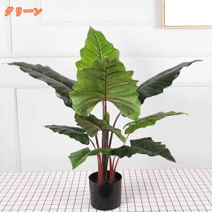 tFCNO[ A lHϗtA Xe ^    O tFCNA sv ͂Ȃ Q̐SzȂ A   傫   Ύ  ItBX 