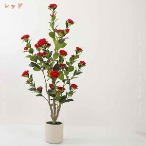 tFCNO[  ȒPb炸 sv Mtg v[g lHϗtA ϗt  lH  R L R ւ̖ K̖  ItBX A A rO  t 