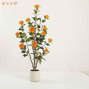 1000~OFFN[| tFCNO[  ȒPb炸 sv Mtg v[g lHϗtA ϗt  lH  R L R ւ̖ K̖  ItBX A A 