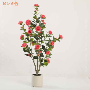 ϗtA R ւ̖ tFCNO[ lH V  rO ItBX l炵  CeA L R h _ i`  lH  ȒP sv A