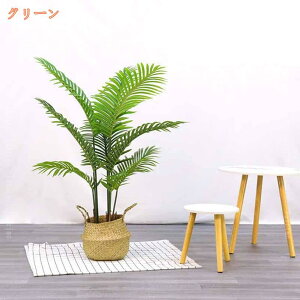 tFCNO[ A lHϗtA AJV ^    O tFCNA sv ͂Ȃ Q̐SzȂ A   傫   Ύ  ItBX 