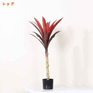 bJ̖ ͂Ȃ tFCNO[  ϗtA ^ lH OlOlȂ A lHϗt   J^ rO  p Vv  Ύ bȂ 