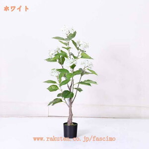 tFCNO[ z AWTC sv ͂Ȃ QȂ lHϗtA R h CeA ItBX   ^ 傳  JtF ʏ  gC  