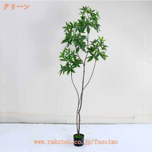 lHϗtA b炸 sv tFCNO[ pL  J^  ϗA p CeA A  j   tFCNϗtA ^  rO ItBX z