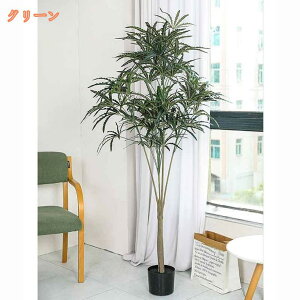 lHϗtA xW~ ^  tFCNO[  ϗA v[g CeA A lHϗt A  Vv ItBX  bȂ sv z[