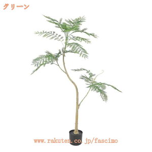 lHϗtA b炸 sv tFCNO[ WJ_̖  J^  ϗA p CeA A  j   tFCNϗtA ^  rO 