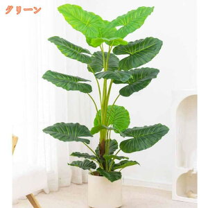 tFCNO[ A lHϗtA NYC ^    O tFCNA sv ͂Ȃ Q̐SzȂ A   傫   Ύ  ItBX 