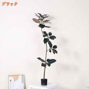 lHϗtA b炸 sv tFCNO[ S̖  J^  ϗA p CeA A  j   tFCNϗtA ^  rO ItBX 