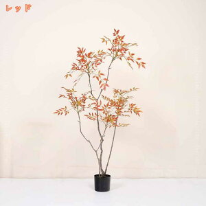 2000~OFFN[| tFCNO[ | ou[ sv ͂Ȃ QȂ lHϗtA R h CeA ItBX   ^ 傳  JtF ʏ  