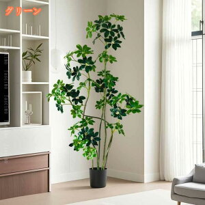 2000~OFFN[| VFt ͂Ȃ tFCNO[  ϗtA ^ lH OlOlȂ A lHϗt   J^ rO  p Vv  Ύ 