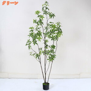 sv ϗtA pL tFCNO[ lHϗtA  ^ A sv R CeA lH  킢 ͂ȂlHA Ύ   J^ Ϗܗp 