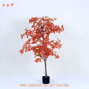 2000~OFFN[| lHϗtA ̂Ȃ K^̖ tFCNO[ Ύ  A ^ i̖ ϗA sv R Mtg j ϗt tFCNA lHA Ƃ̒ɒu