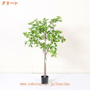 Ύ ̂Ȃ K^̖ tFCNO[ ^ A ϗtA tFCN lHϗA lHϗt Vv A lHA R sv CeA  rO ItBX JX