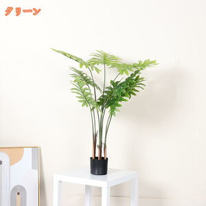 1000~OFFN[| lHϗtA Xe tFCNO[ Ύ  A ^ i̖ ϗA sv R Mtg j ϗt tFCNA lHA Ƃ̒ɒu a 