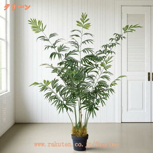 2000~OFFN[| sv ϗtA bJ̖ tFCNO[ lHϗtA  ^ A sv R CeA lH  킢 ͂ȂlHA Ύ 