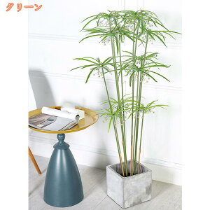 2000~OFFN[| sv ϗtA ԑ tFCNO[ lHϗtA  ^ A sv R CeA lH  킢 ͂ȂlHA Ύ  