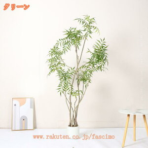 2000~OFFN[| lHϗtA | ou[ tFCNO[ Ύ  A ^ i̖ ϗA sv R Mtg j ϗt tFCNA lHA Ƃ̒ɒu a 