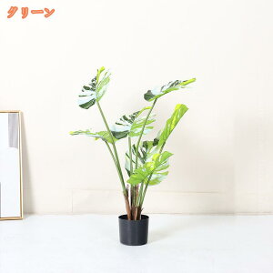 1000~OFFN[| Ύ Xe tFCNO[ ^ A ϗtA tFCN lHϗA lHϗt Vv A lHA R sv CeA  rO ItB