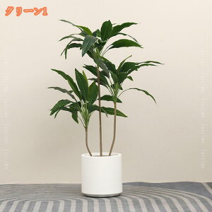 tFCNO[  ȒPb炸 sv Mtg v[g lHϗtA ϗt  lH  R L Xg`A K̖  ItBX A A rO  t t