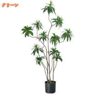 tFCNO[ lHϗtA  ^ hZi K̖ A  CeA A  b炸 sv  ItBX z[ ze fR[V ډB JtF