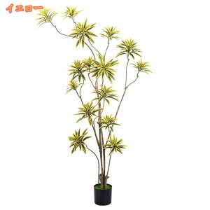 tFCNO[ hZi K̖ ϗtA Ύ lHϗtA lH ^  J^  XgA Vz zj CeA { ygȂϗtA  