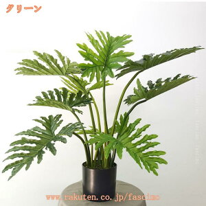 2000~OFFN[| ϗtA tFCNO[ V lH  rO ItBX ϗA l炵  CeA _ i` R h b炸 sv  J^ lH