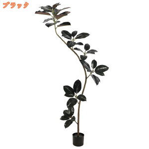 1000~OFFN[| ϗtA tFCNO[ V lH  rO ItBX ϗA l炵  CeA _ i` R h b炸 sv  J^ lH