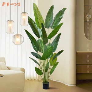 1000~OFFN[| tFCNO[ lHϗtA  ^ Xg`AEMl Ɋy A  CeA A  b炸 sv  ItBX z[ ze f